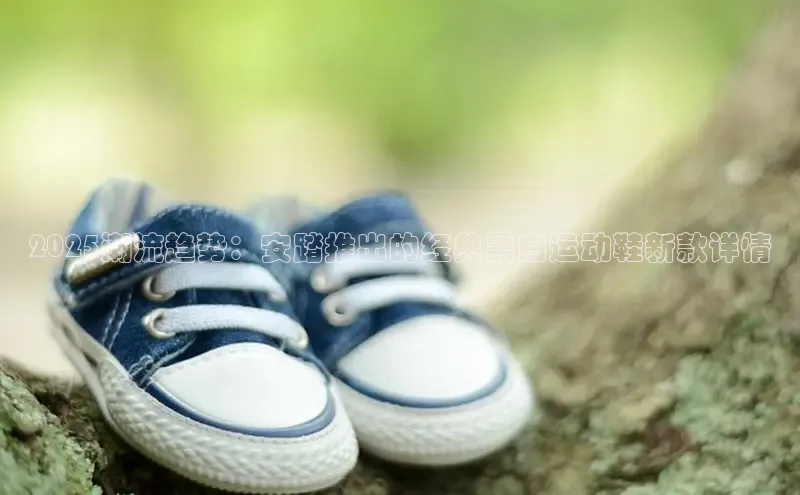 2025潮流趋势：安踏推出的经典黑白运动鞋新款详情