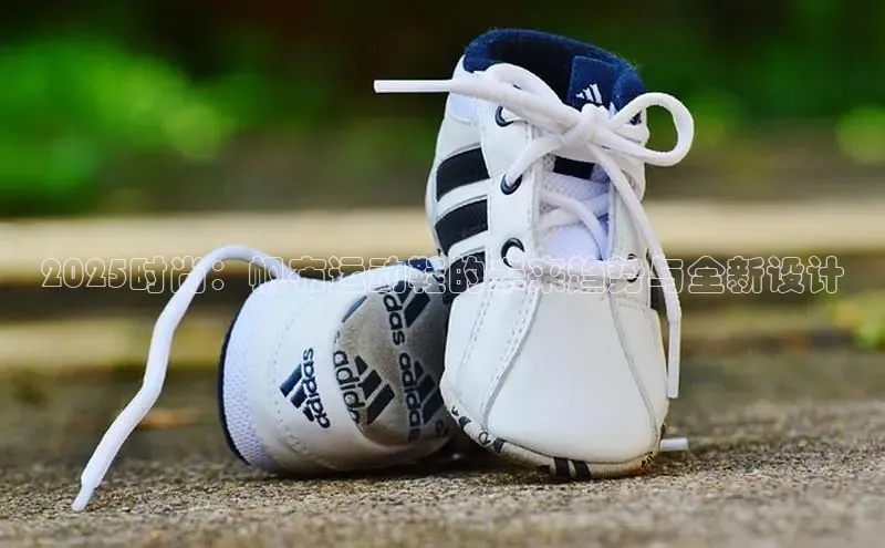 2025时尚：帆布运动鞋的未来趋势与全新设计